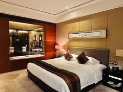 -河源万绿湖美思威尔顿酒店