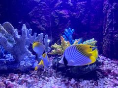 -常州海昌海洋探索馆