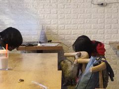 -平行世界·猫咖(首经贸店)