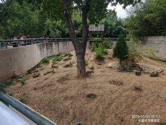 -石家庄市动物园