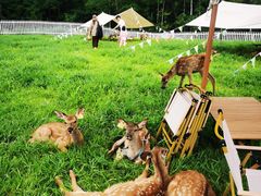 -长白山万达锦华套房酒店