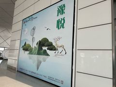-郑州新郑国际机场-T2航站楼
