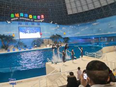 -泉城欧乐堡海洋极地世界