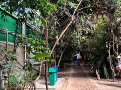 -呀路古热带植物园