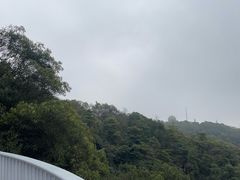 -广州市白云山风景名胜区