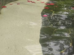 -海兰云天度假区温泉