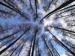 -硗碛藏寨·神木垒景区