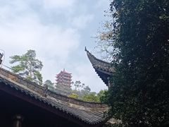 -缙云山景区