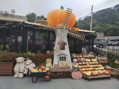 -京北渔家傲