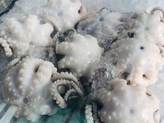 白灼章鱼-铭聚章鱼土笋冻(松柏店)