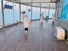 -龙塔