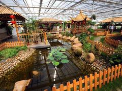 -上海都市菜园