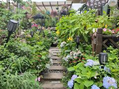 -大隐花事(熊婆婆的花园店)