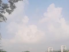 -东莞植物园