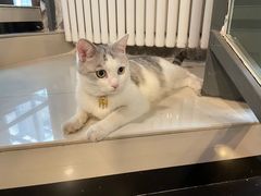 -青春加萌照相馆