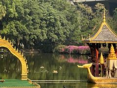 -西双版纳原始森林公园