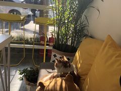 -五进制 Coffee Shop