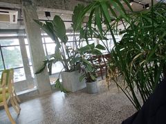 -腾爱熊猫咖啡生活馆(老东门店)