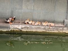 -浙江省博物馆(孤山馆区)