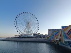 -琴岛之星摩天轮