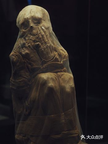我去！看表情包一样的安第斯文明特展