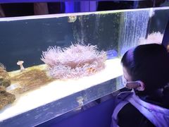 -无锡海洋馆
