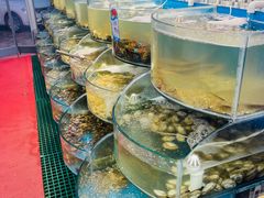 -仙螺岛海鲜自助餐厅(总店)