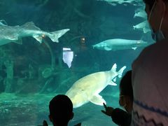 -华夏文旅西安度假区