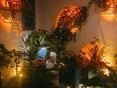 -上合花园花园烧烤(贵阳店)