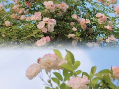 -建设三路(地铁站)