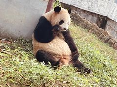 -杭州野生动物世界