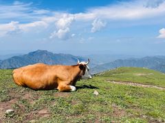 -灵山