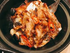 砂煲王家湖有机鱼头-芙蓉堂(武汉天地店)