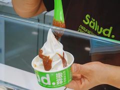 -Salud撒露欧洲冻酸奶(蓝色港湾店)