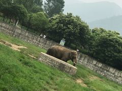 -西安秦岭野生动物园