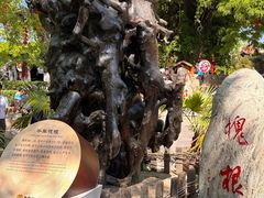 -大槐树寻根祭祖园
