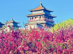-莲花池公园