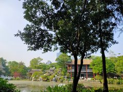 -顺峰山公园
