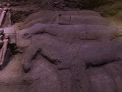 -汉景帝阳陵博物院