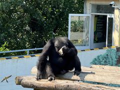 -西霞口神雕山野生动物世界