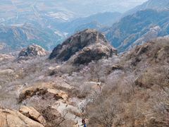 -北京凤凰岭