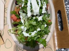 -油梨树AVOCADO TREE(望京店)