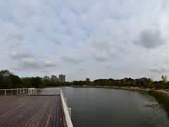 -新江湾城公园