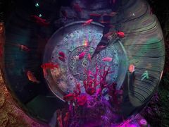 -沈阳海洋探索中心