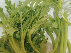 -皇城老妈·大连海鲜火锅(港湾店)