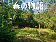 -深圳野生动物园
