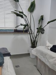 -上海首尔丽格医疗美容医院