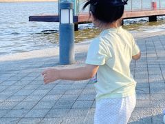 -欢乐海岸椰林沙滩-2025湾区超级灯会