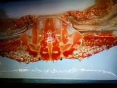 -新花城蟹粉馆(乌鲁木齐店)