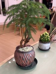 -归位瑜伽＆普拉提馆